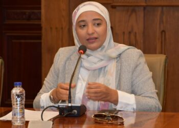 النائبة أميرة أبوشقة تطالب بالسماح الفوري لاستيراد الألواح الشمسية للأفراد والشركات دون جمارك أو ضرائب