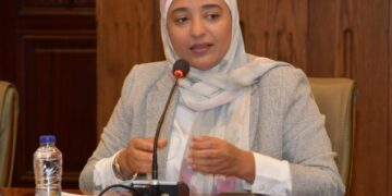 النائبة أميرة أبوشقة تطالب بالسماح الفوري لاستيراد الألواح الشمسية للأفراد والشركات دون جمارك أو ضرائب