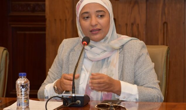 النائبة أميرة أبوشقة تطالب بالسماح الفوري لاستيراد الألواح الشمسية للأفراد والشركات دون جمارك أو ضرائب