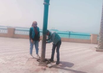 نشاط مكثف لمتابعة أعمال التطوير ورفع الكفاءة بقيادة المهندسة رانيا محمد