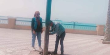 نشاط مكثف لمتابعة أعمال التطوير ورفع الكفاءة بقيادة المهندسة رانيا محمد