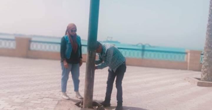 نشاط مكثف لمتابعة أعمال التطوير ورفع الكفاءة بقيادة المهندسة رانيا محمد