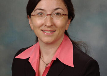 يحدد الباحثون التغيرات الوعائية في الدماغ المرتبطة بمرض الزهايمر