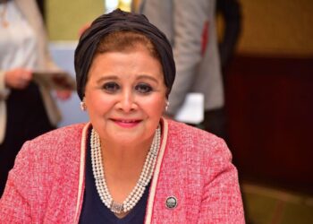 السيرة الذاتية للدكتورة عبلة الألفي نائب وزير الصحة والسكان