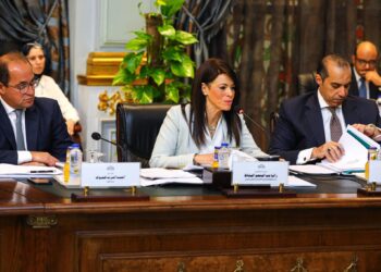 الدكتورة رانيا المشاط وزيرة التخطيط والتنمية الاقتصادية والتعاون الدولي أمام اللجنة الخاصة بمناقشة برنامج الحكومة بمجلس النواب:-