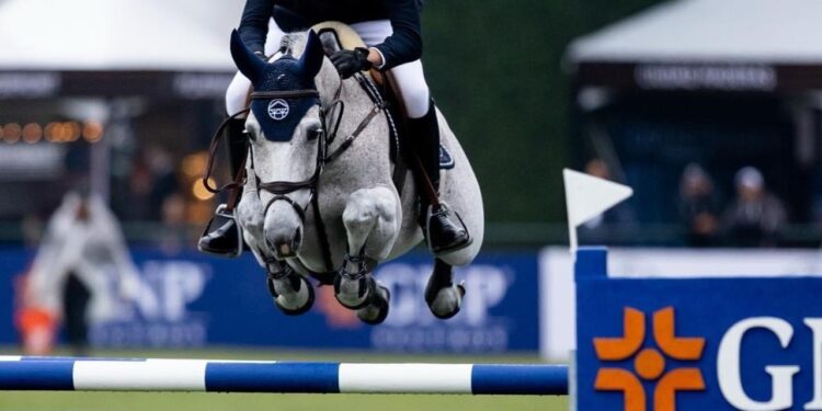 الاتحاد المصري للفروسية يعلن إختيار الفارس نائل نصار لتمثيل مصر في أوليمبياد باريس