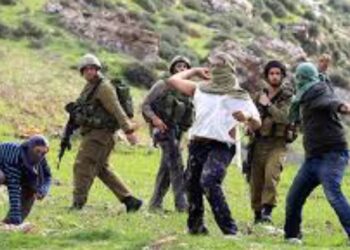 مستعمرون يقطعون أشجارا جنوب شرق نابلس