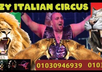 الأربعاء .. انطلاق حفلات سيرك “محمد الحلو” بمارينا 2″
