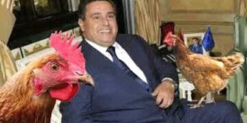 غلاء سعر الدواجن والبيض يخرج رواد التواصل الاجتماعي عن صمتهم واستدعاء وزير الفلاحة للرد