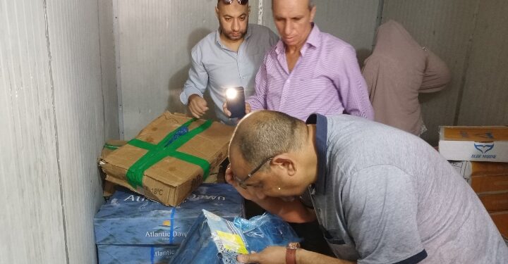ضبط  604.5 كجم اسماك مملحة فاسدة واسماك ودواجن مجمدة بدون بيانات بدسوق