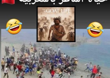 كيف استغل الكابرانات لقطة الهجرة الجماعية التي اجمع الكل على انها “حياة الماعز” بالصيغة المغربية وهذا رد فعل الحرس الإسباني