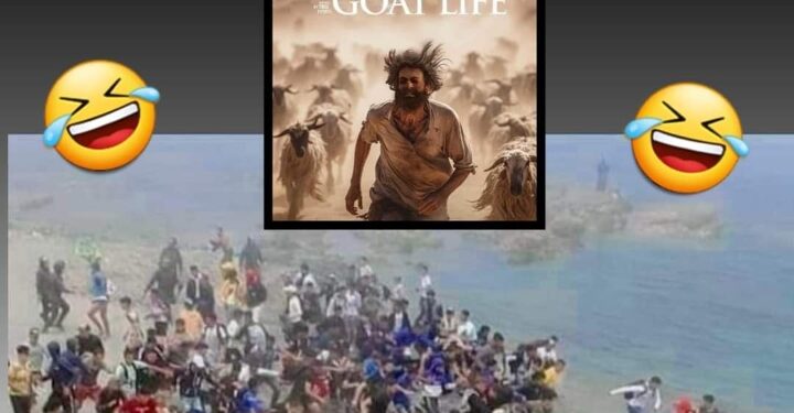 كيف استغل الكابرانات لقطة الهجرة الجماعية التي اجمع الكل على انها “حياة الماعز” بالصيغة المغربية وهذا رد فعل الحرس الإسباني