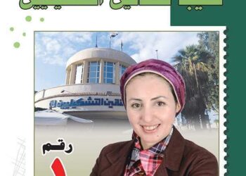 مرفت مرسي المرشحة لرئاسة «التشكيليين» تستعرض برنامجها: هدفي خدمة أعضاء النقابة