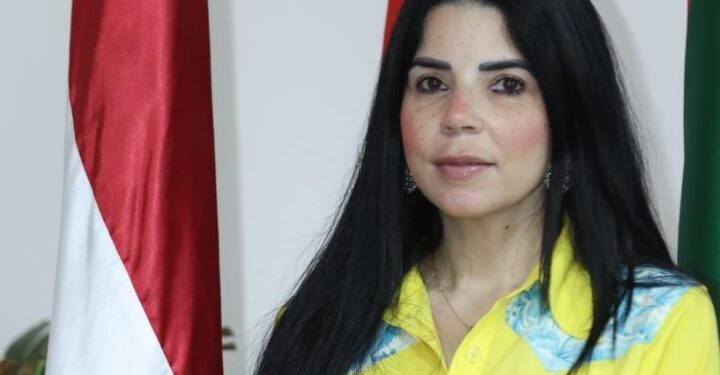 التعليم العالي : ندب الدكتورة نيفين محمد للعمل مستشارًا لوزير التعليم العالي للتسويق والعلاقات العامة