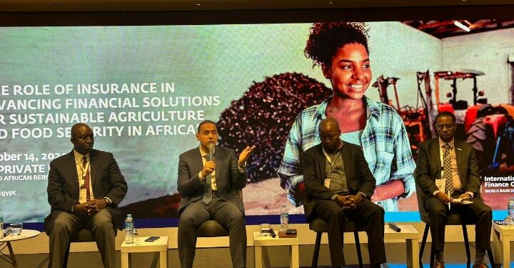 نائب رئيس الرقابة المالية يشارك في جلسة نقاشية حول دور التأمين في تعزيز حلول التمويل الزراعية ضمن فعاليات الملتقى الإفريقي ال28