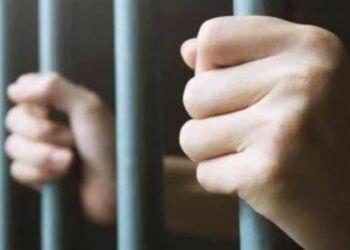 السجن 15 عامًا لعاطل في قضية قتل وسرقة بالإسكندرية