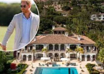 دوق ودوقة ساسكس يواجهان تحديات مالية في الولايات المتحدة