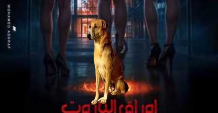 كما أضافت أن كلبها يتسم بالشجاعة والذكاء، ويستحق التقدير على جهوده في تقديم أداء مميز خلال التصوير