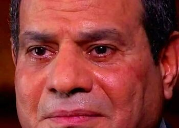 هاشتاج  #هنكمل المشوار 🇪🇬       💪 الله  #الوطن الزعيم شعب مصر 🇪🇬 العظيم