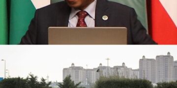 المنظمة العربية للتنمية الزراعية تنظم حدثًا جانبيًا حول “تسهيل وصول الدول العربية للتمويل الأخضر” في COP29