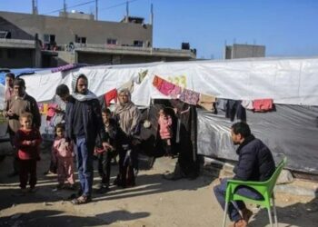 828 مليون دولار.. الإمارات تتصدر الدول الأكثر دعماً لغزة بنسبة 42%