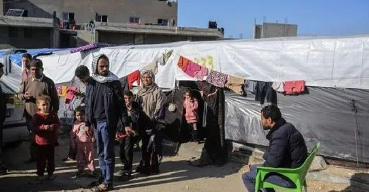 828 مليون دولار.. الإمارات تتصدر الدول الأكثر دعماً لغزة بنسبة 42%