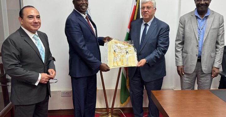 د. أيمن عاشور يبحث تعزيز التعاون مع كينيا لتطوير التعليم العالي في إفريقيا