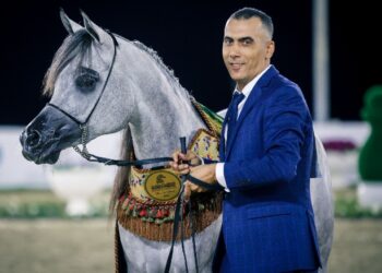 مهرجان الشارقة كلباء السادس للجواد العربي – 2024