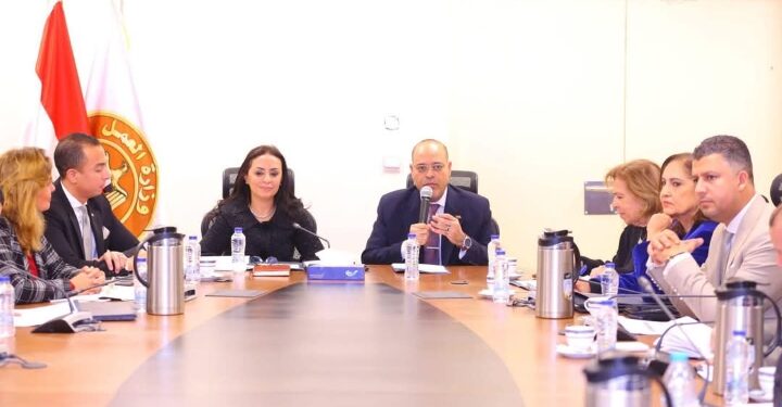 أكد الدكتور محمد ممدوح عضو المجلس القومي لحقوق الإنسان ، رئيس اللجنة الاقتصادية بالمجلس، أن الاجتماع الأخير الذي عُقد لمناقشة مسودة قانون العمالة المنزلية يُمثل لحظة فارقة في مسيرة حماية حقوق الإنسان في مصر، مشيدًا بالنهج التشاوري الذي اتبعته وزارة العمل بقيادة الوزير محمد جبران، والذي جمع كافة الأطراف المعنية لضمان صياغة قانون متوازن وشامل