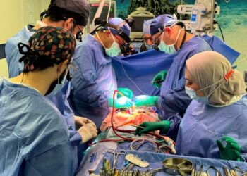 لأول مرة في العالم بجامعة المنصورة   مركز جراحة القلب والصدر يجري جراحة لإعادة بناء صمامات الأورطى والرئوي من أنسجة ذاتية بالجسم بمشاركة خبير مصري بأمريكا