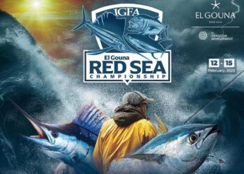 استعدادا لكأس العالم.. الجونة تشهد انطلاق أكبر بطولات الصيد في الشرق الأوسط