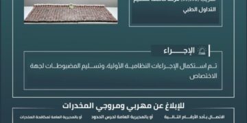 حرس الحدود يحبط تهريب (59,390) قرصًا خاضعًا لتنظيم التداول الطبي
