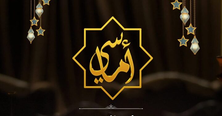 بعد نجاحها مع أحمد شيبة وسعد الصغير.. مروة شاهين تفتتح خيمة «أماسي» للموسم الثاني