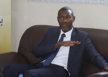 جامعة النيل الأوروبية تشارك في فعليات المؤتمر الدولي للاستثمار والتنمية المستدامة في تشاد