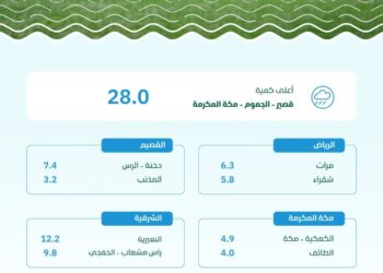 “البيئة”: مكة المكرمة تسجّل أعلى كمية لهطول الأمطار بـ (28.0) ملم في قصير بالجموم