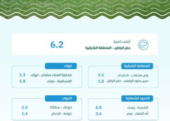 “البيئة”: ترصد هطول أمطار في (7) مناطق عبر (21) محطة والشرقية تسجل أعلى كمية بـ (6.2) ملم في حفر الباطن