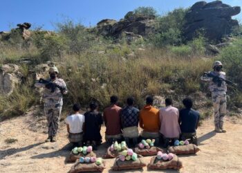 حرس الحدود بمنطقة جازان يقبض على (7) مخالفين لنظام أمن الحدود لتهريبهم (105) كيلوجرامات من نبات القات المخدر