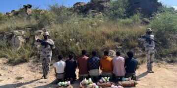 حرس الحدود بمنطقة جازان يقبض على (7) مخالفين لنظام أمن الحدود لتهريبهم (105) كيلوجرامات من نبات القات المخدر