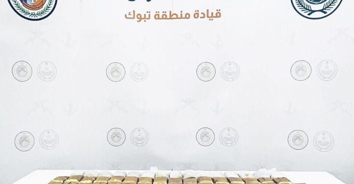 حرس الحدود بمنطقة تبوك يحبط تهريب (24) كيلوجرامًا من مادة الحشيش المخدر