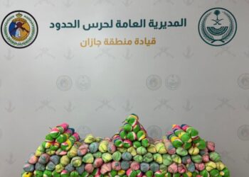 حرس الحدود بمنطقة جازان يحبط تهريب (204) كيلوجرامات من نبات القات المخدر