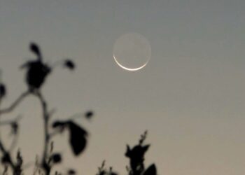 *اليوم  : هلال العيد يزين سماء المملكة* 🌙