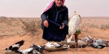 في ربوع أفغانستان… سعود عبدالعزيز البابطين يمارس شغفه بالصقارة ويحيي تراث الأجداد