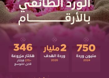 ريف السعودية”: إنتاج 750 مليون وردة في 2024 ونستهدف 2 مليار في 2026