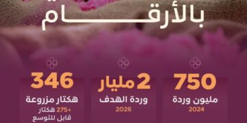 ريف السعودية”: إنتاج 750 مليون وردة في 2024 ونستهدف 2 مليار في 2026