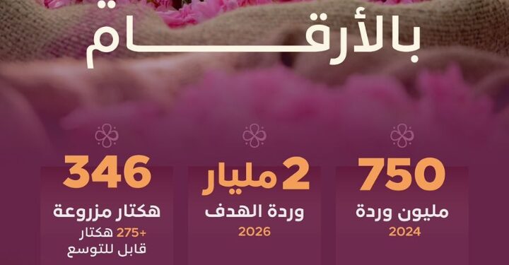 ريف السعودية”: إنتاج 750 مليون وردة في 2024 ونستهدف 2 مليار في 2026