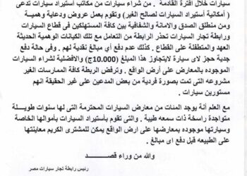 رئيس رابطة تجار السيارات في مصر يحذر