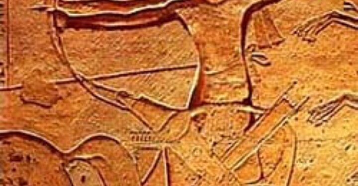 “الجيش المصري: أسطورة الخلود من عجلات الفراعنة إلى أسلحة متطورة ترعب قلوب الأعداء “