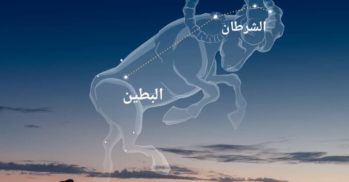 طلوع منزلة “الشرطان” من الجهة الشرقية فجرا  ابتداءا من 12 مايو وبداية حساب طوالع المنازل القمرية.