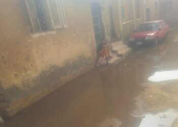 نداء عاجل إلى معالي الدكتور أحمد الأنصاري محافظ الفيوم صرخة استغاثة من أهالي شارع محمد جنيدي  قرية العدوة  مركز الفيوم