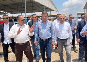 البنك الزراعي المصري يمول شراء 2000 رأس ماشية بقيمة 395 مليون جنيه لصالح  188 من صغار المربين بمحافظه الشرقية